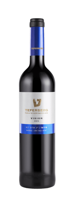 VISION שיראז