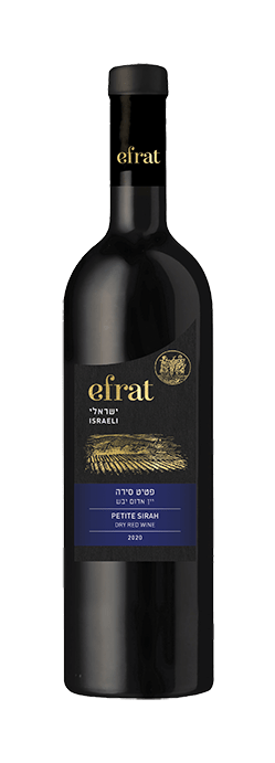 פטיט סירה בציר 2002, סדרת ישראלי