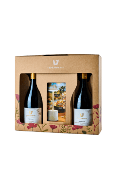 אינספייר מנורת אוירה