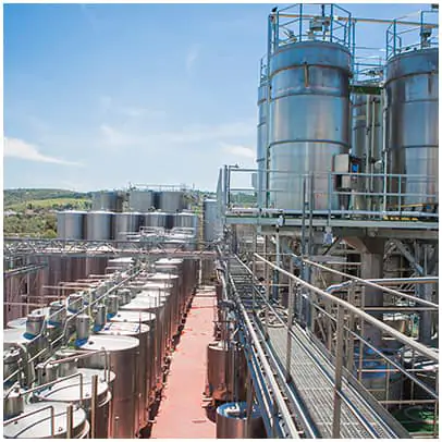 תמונה של היקב